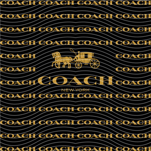 holographic Big- 663